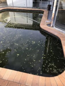 Pool Renovations Brisbane.