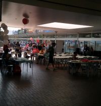 Family Day October 2013