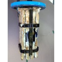 An unclean salt cells will reduce it's life.